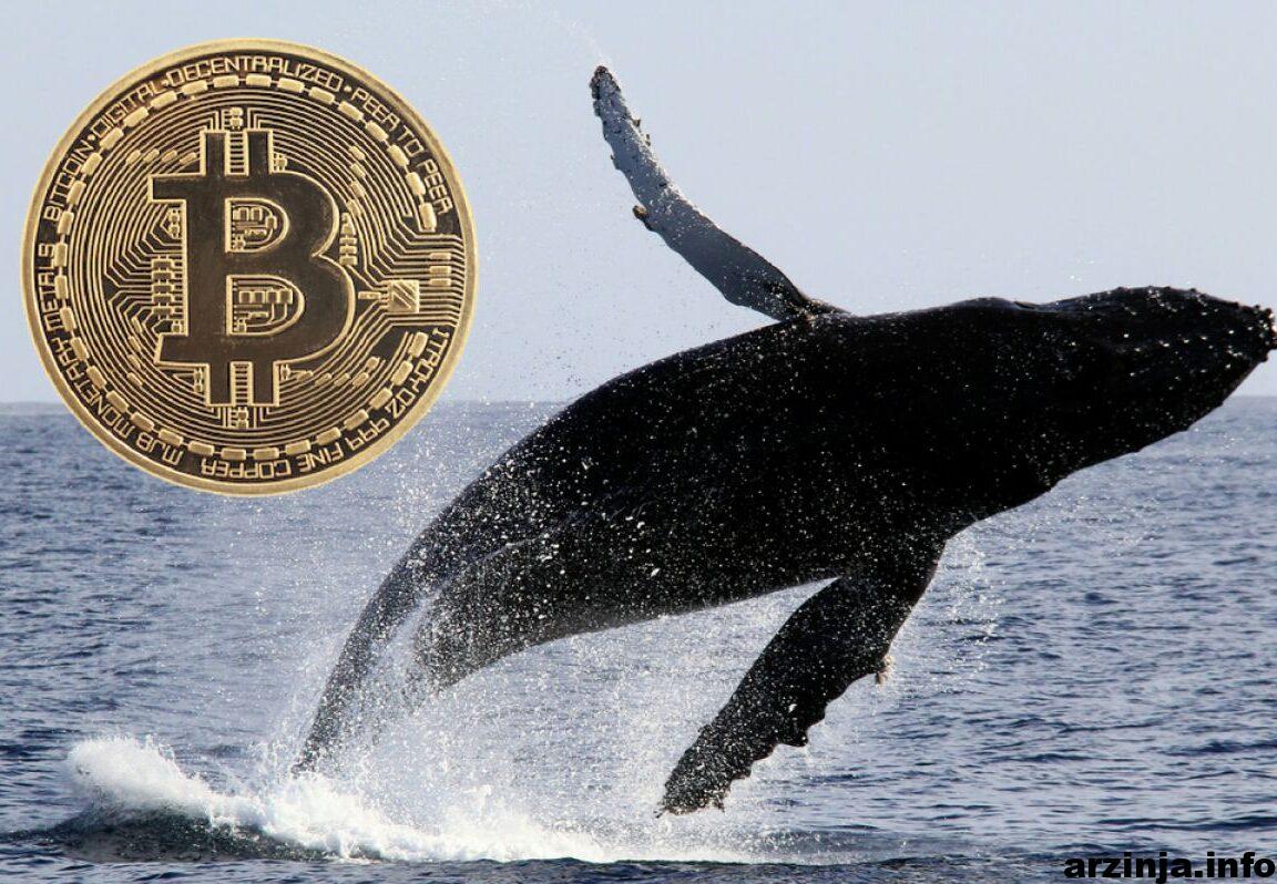 انتقال بیت کوین (BTC) به ارزش 100 میلیون دلار به صرافی ها توسط نهنگ ها