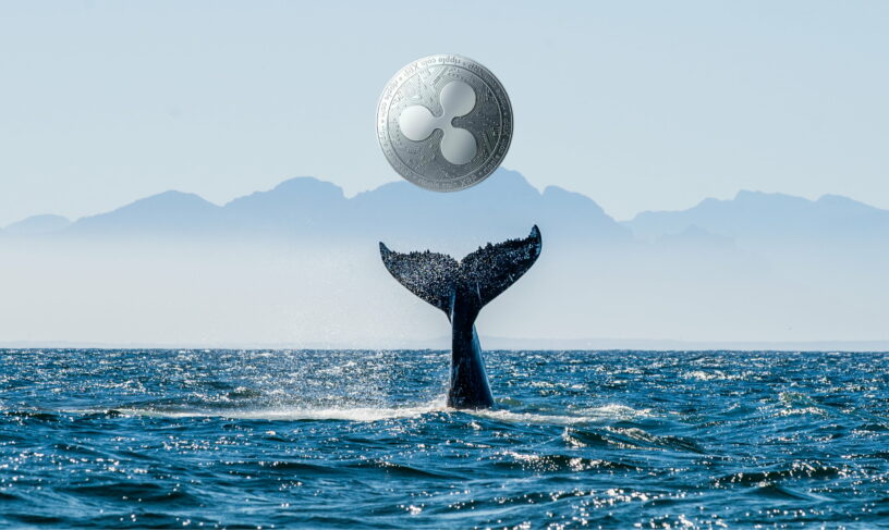 20 میلیون دلار XRP توسط نهنگی ناشناس جابجا شد