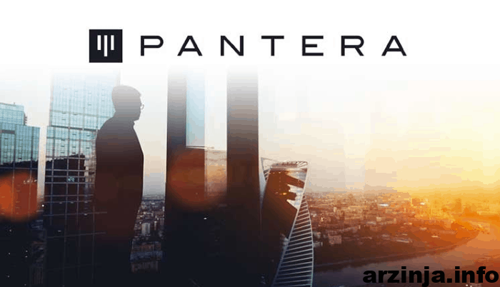 مدیر عامل Pantera Capital: ترا یک کوین موفق با قابلیت رشد بالا