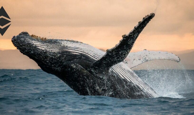 نهنگ‌های غول پیکر اتریوم در حال کاهش ذخایر خود هستند!