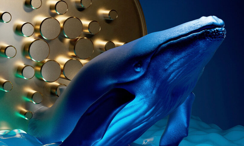 خرید 138 میلیون دلار کاردانو توسط نهنگ‌ها