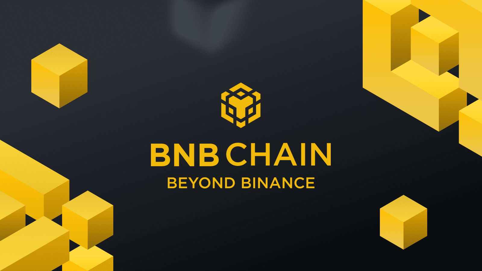 رشد چشمگیر شبکه BNB Chain در حوزه توکن‌های NFT