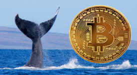 انتقال ۵,۰۰۰ واحد بیت کوین توسط یک نهنگ