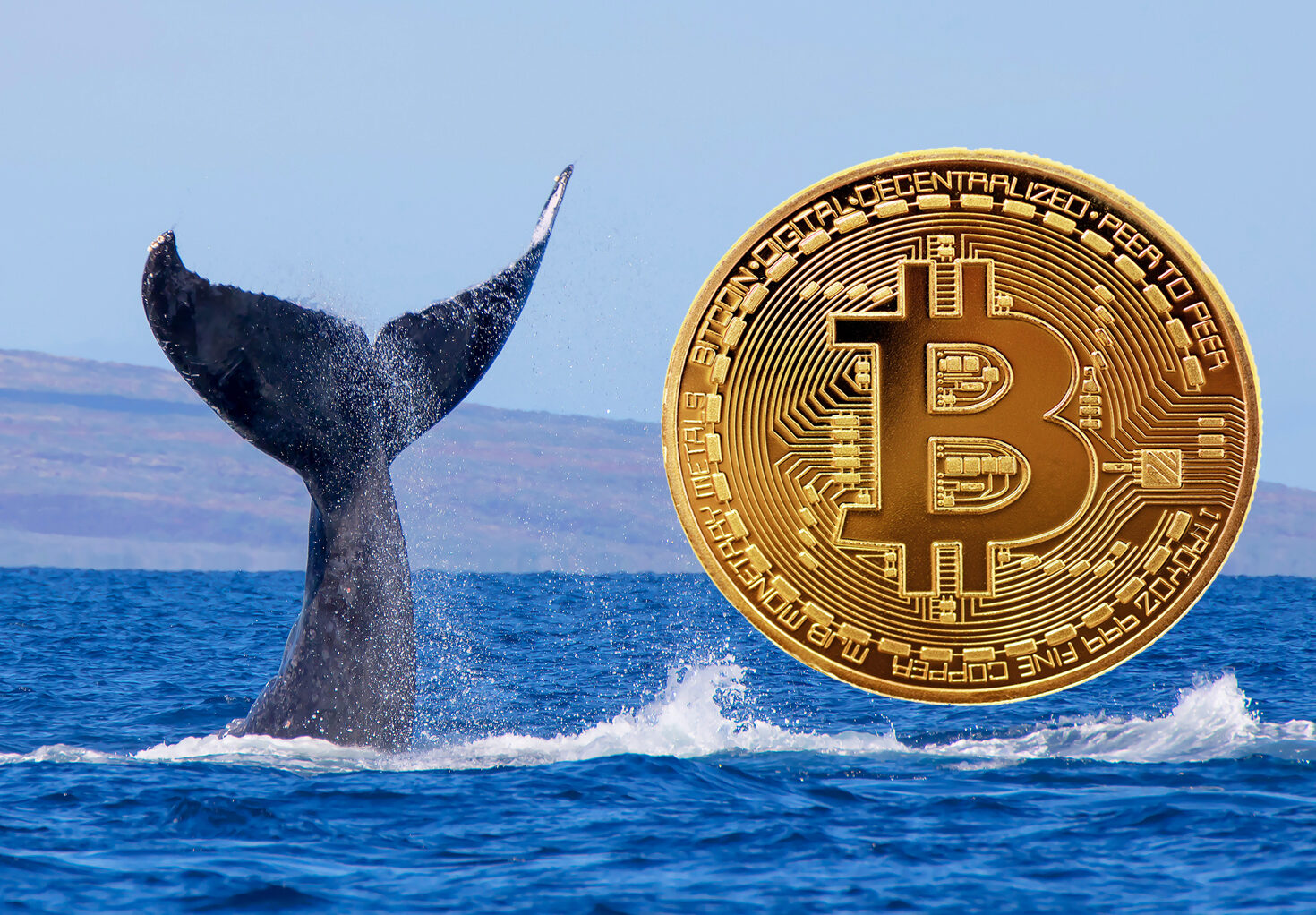 انتقال ۵,۰۰۰ واحد بیت کوین توسط یک نهنگ
