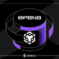 شبکه opBNB