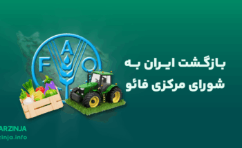 فائو چیست و چرا مهم است؟!