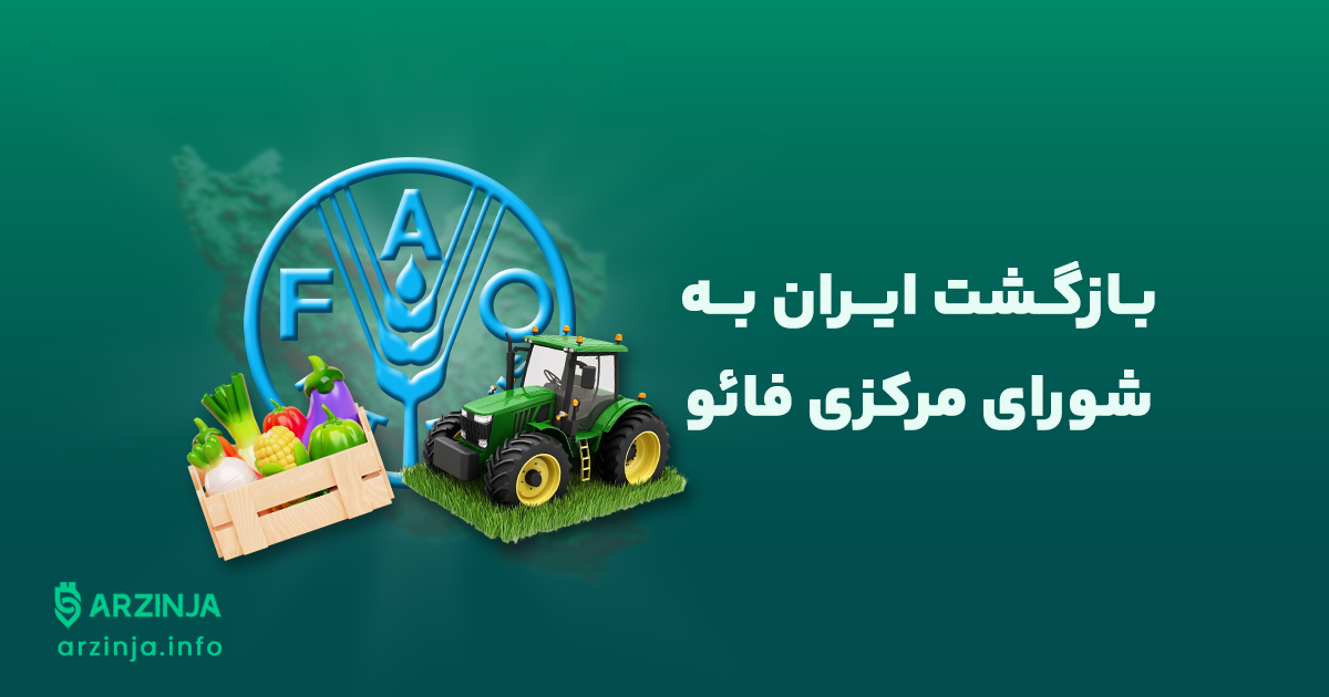فائو چیست و چرا مهم است؟!