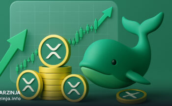 انباشت بی‌سروصدای XRP توسط نهنگ‌ها هم‌زمان با آماده‌باش قیمت برای جهش