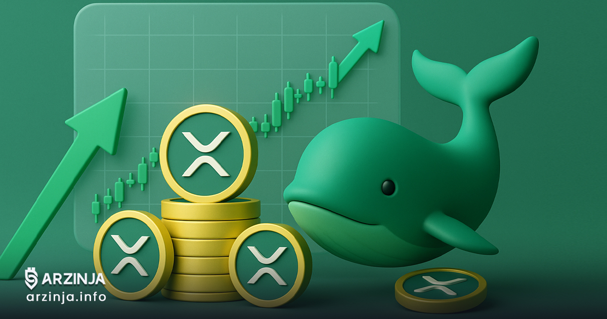 انباشت بیسروصدای XRP توسط نهنگها همزمان با آمادهباش قیمت برای جهش