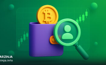 ولت اینتلیجنس چیست؟
