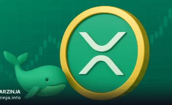 رشد نهنگ‌های XRP