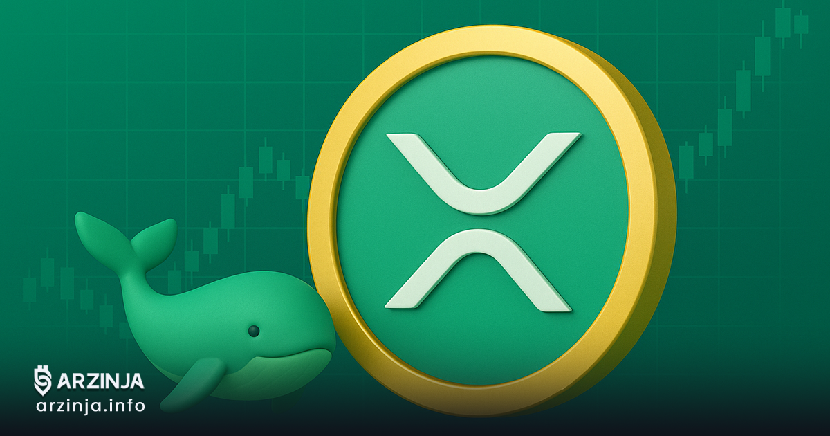 رشد نهنگهای XRP