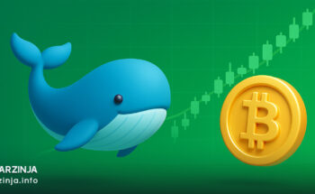 الگوی نگهداری بیت کوین