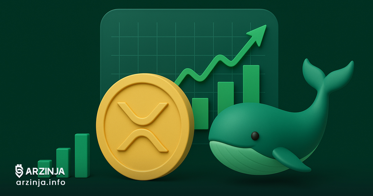 صعود نهنگ‌های XRP هم‌زمان با جهش ۱۰ درصدی قیمت