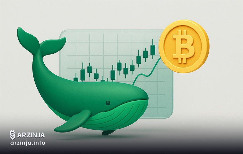 تأثیر نهنگ‌ها بر قیمت بیت کوین