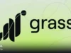 ایردراپ فصل دوم گرس: راهنمای کامل شرکت در Grass Airdrop 2