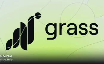 ایردراپ فصل دوم گرس: راهنمای کامل شرکت در Grass Airdrop 2