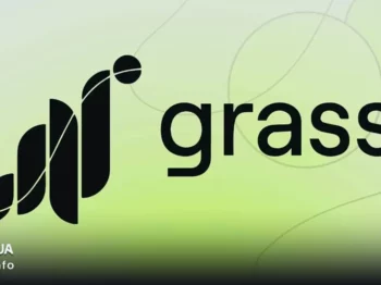 ایردراپ فصل دوم گرس: راهنمای کامل شرکت در Grass Airdrop 2