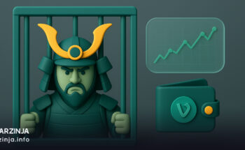 چهار سال زندان برای یکی از بنیان‌گذاران سامورایی ولت