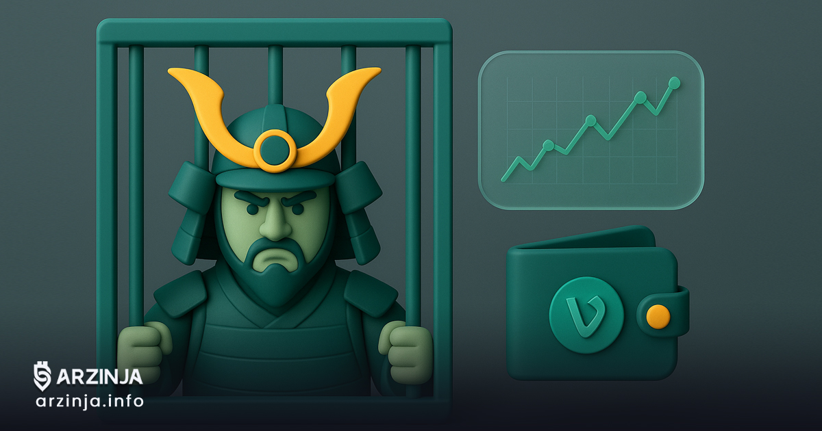 چهار سال زندان برای یکی از بنیان‌گذاران سامورایی ولت