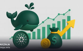 بازگشت نهنگ‌های کاردانو هم‌زمان با چرخش مثبت تأمین مالی