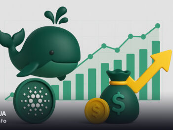 بازگشت نهنگ‌های کاردانو هم‌زمان با چرخش مثبت تأمین مالی