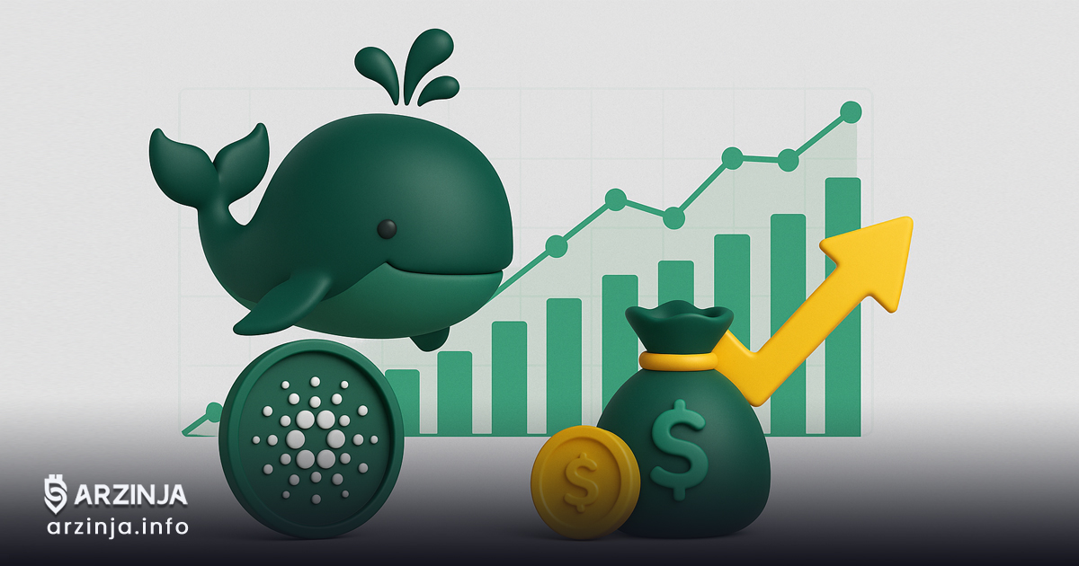 بازگشت نهنگهای کاردانو همزمان با چرخش مثبت تأمین مالی