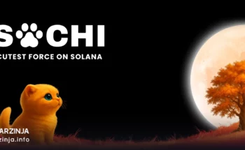 خرید ساچی (SACHI)