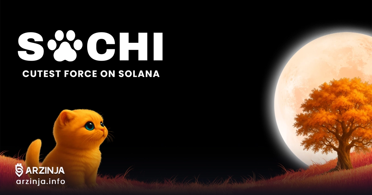 خرید ساچی (SACHI)