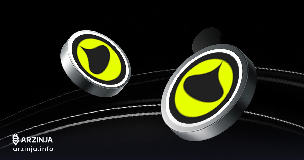 خرید رین (RAIN)