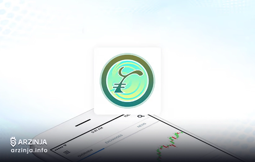 مزایای خرید رای کوین چیست؟