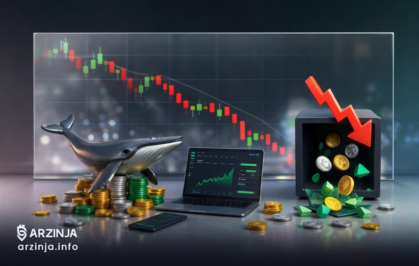 سرمایه&zwnj;گذاران حرفه&zwnj;ای به هنگام ترس در بازار چگونه رفتار می&zwnj;کنند؟