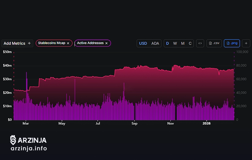 فعالیت درونزنجیرهای کاردانو همچنان ضعیف ماند