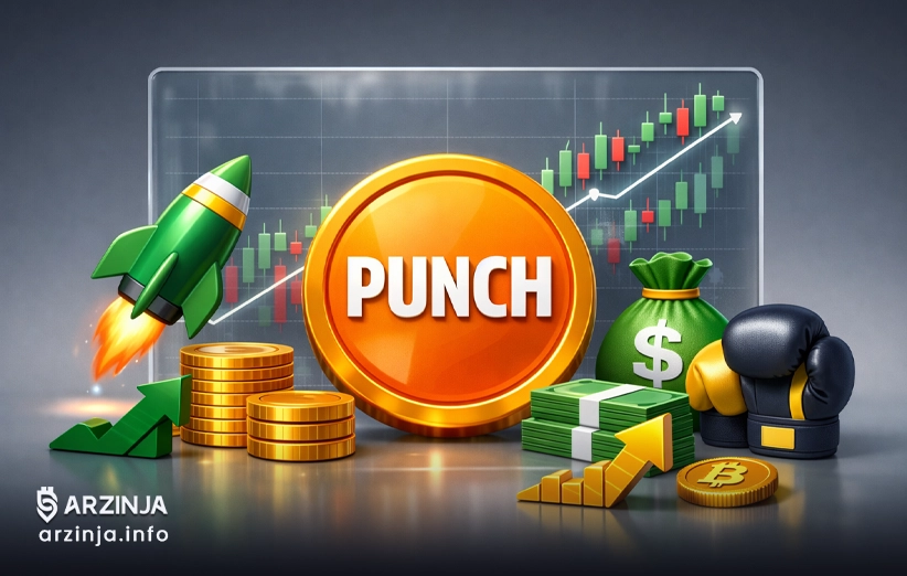 PUNCH: سرمایه&zwnj; گذاری هوشمند یا دام هیجانی؟