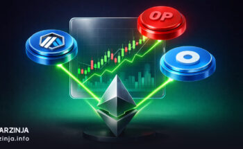 آموزش لایه‌های دوم اتریوم آربیتروم، اپتیمیسم و Base