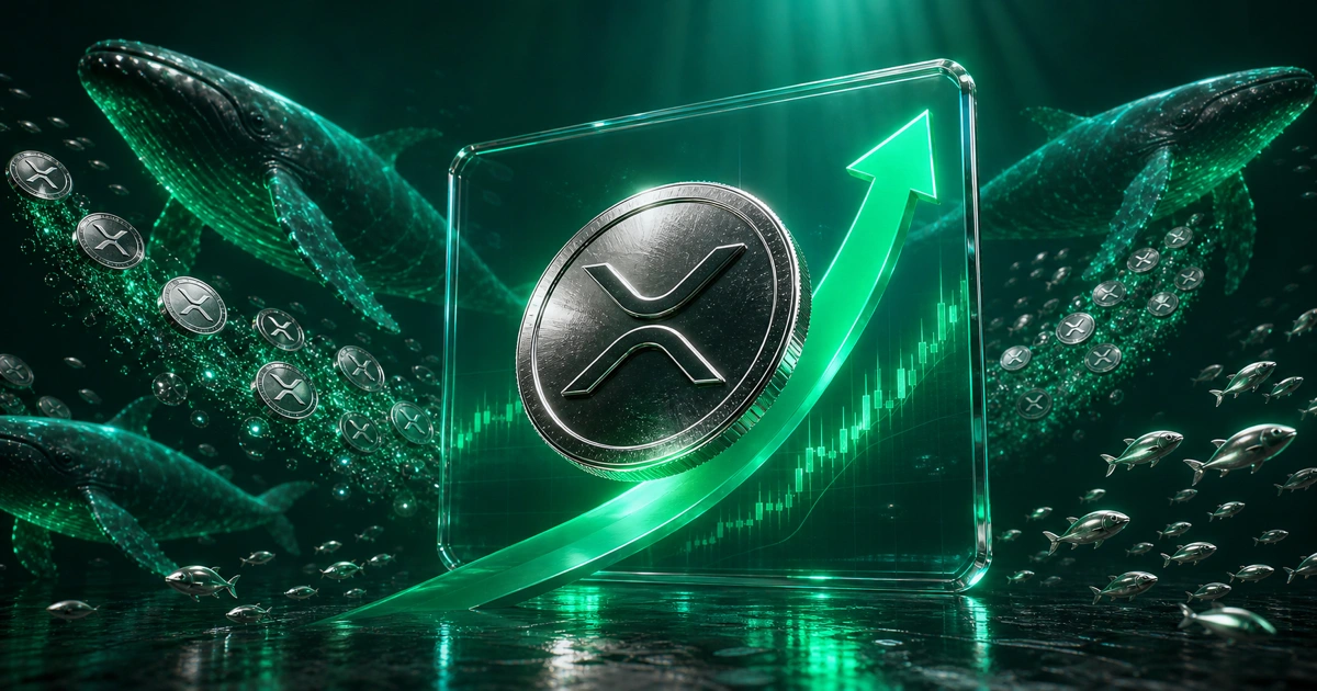 انباشت نهنگهای ریپل و تسلیم هولدرهای خرد XRP